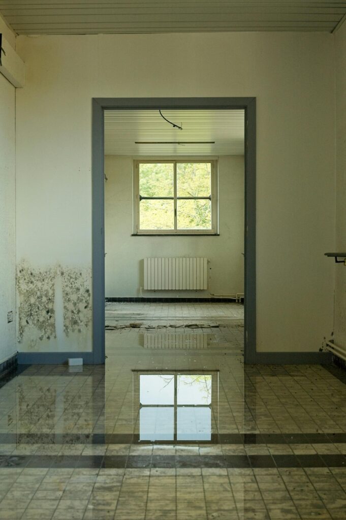 An abandoned room with a flooded floor reflecting a window, highlighting decay and neglect.