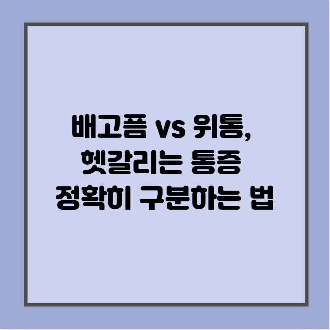 배고픔 vs 위통, 헷갈리는 통증 정확히 구분하는 법