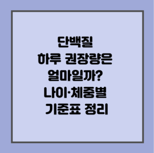 단백질 하루 권장량은 얼마일까? 나이·체중별 기준표 정리