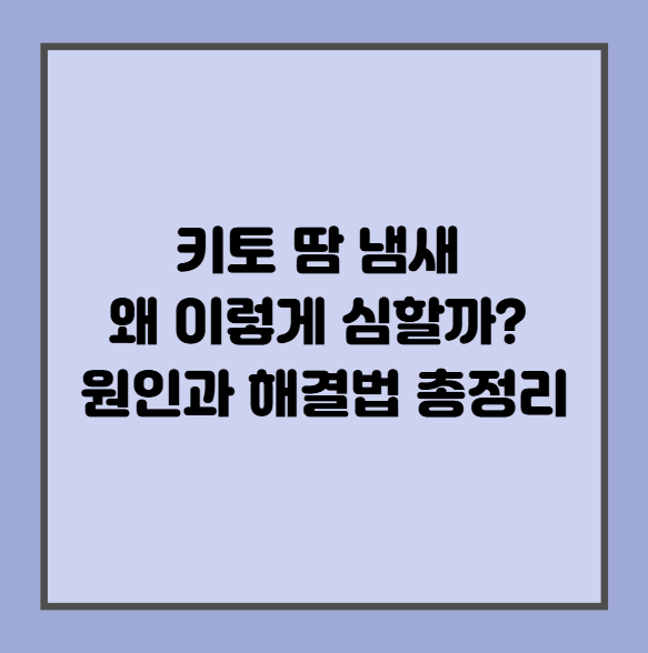 키토 땀 냄새 왜 이렇게 심할까? 원인과 해결법 총정리